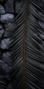 Hyperrealistic Composition Black Palm Leaf On Rock Wall