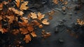 Hyperrealistic Depictions Of Fall Leaves On Black Water