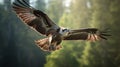 Hyperrealistic Eagle Soaring Through Backlit Forest - Vray 8k Photography