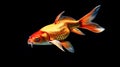 Hyperrealistic Goldfish Swimming on a Black Background