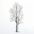Hyperrealistic Hand-drawn Tree Illustration With Stark Minimalism Royalty Free Stock Photo
