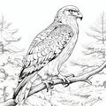 Hyperrealistic Hawk Coloring Page: Detailed And Accurate Black And White Line Drawing