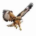 Hyperrealistic Hawk In Flight: Intense Colors And Lifelike Detail