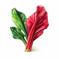 Hyperrealistic Illustration Of Swiss Chard In Red And Green