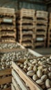 Hyperrealistic image of pistachio nuts in wooden box among endless rows in warehouse Royalty Free Stock Photo