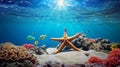 Hyperrealistic Landscape: Starfish On Coral Reef With Luminous 3d Objects