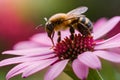 Hyperrealistic macro photo of bee sucking flower honey.