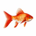 Hyperrealistic Orange Fish: Traditional Vietnamese Style With A Metallic Finish