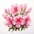 Hyperrealistic Pink Azalea Illustration On White Background