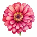 Hyperrealistic Pink Flower Illustration With Detailed Background Royalty Free Stock Photo