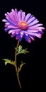 Hyperrealistic Purple Flower Painting By Marguerite Blasingame