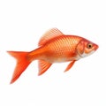 Hyperrealistic Red Goldfish: A Stunning Artistic Creation