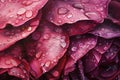 Hyperrealistic rose painting, photorealism, macro photography.