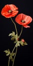 Hyperrealistic Sculptural Paper Constructions: Graceful Poppies In Baroque-inspired Style
