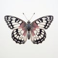 Hyperrealistic Still Life: Grizzled Skipper Butterfly With Pale Pink And Black Wings