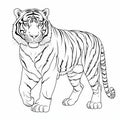Hyperrealistic Tiger Coloring Page: Detailed Outline Drawing For Monochrome Coloring