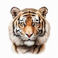 Hyperrealistic Tiger Face Illustration On White Background