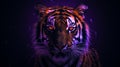 Hyperrealistic Tiger With Purple Face In Vray Tracing Lighting