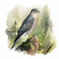 Hyperrealistic Watercolor Illustration Of A Grey And Brown Hawk Perched On A Tree Stump