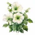 Hyperrealistic Watercolor Illustration Of White And Green Flowers Royalty Free Stock Photo