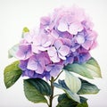 Hyperrealistic Watercolor Painting Of Purple Hydrangea