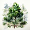 Hyperrealistic Watercolor Pine Tree Drawing By Beatrice Potter