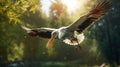 Hyperrealistic White Stork Flying In Green Forest