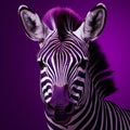 Hyperrealistic Zebra Composition With Distinctive Noses