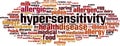 Hypersensitivity word cloud Royalty Free Stock Photo