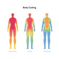 Hyperthermia and hypothermia health care infographic. Vector flat healthcare illustration. Body cooling infrared heat map isolated