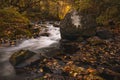 A hypnotically flowing river with fallen leaves in golden autumn colors.