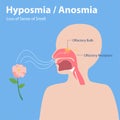 Hyposmia Anosmia, Loss of Sense of Smell Royalty Free Stock Photo