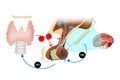 Hypothalamus Pituitary Thyroid Hormone