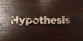 Hypothesis - grungy wooden headline on Maple - 3D rendered royalty free stock image