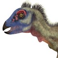 Hypsilophodon Dinosaur Head