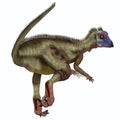 Hypsilophodon Dinosaur Tail