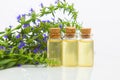 Hyssop essential oil in  beautiful bottle on White background Royalty Free Stock Photo
