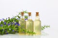 Hyssop essential oil in  beautiful bottle on White background Royalty Free Stock Photo