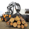 Volvo Wheel Loader With Timber Grapples