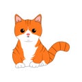 Cute Munchkin Cat isolate on white background. Cartoon cat kitten icon vector. Hand drawn childish vector illustration.