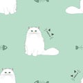 Chinchilla Persian Cat meow seamless pattern background with flowers. Cartoon cat kitten background. Hand drawn childish vector