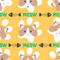 RagdollÃÂ Cat emoticons showing different emotions. RagdollÃÂ Cat head seamless pattern background.