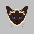 Siamese cat head isolate on gray background. Cartoon cat kitten icon vector. Hand drawn childish vector illustration. Royalty Free Stock Photo