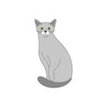 Russian Blue cat sitting isolate on white background. Cartoon cat kitten icon vector. Hand drawn childish vector illustration. Royalty Free Stock Photo