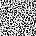 Seamless classic black and white leopard pattern in vector Royalty Free Stock Photo