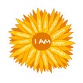 I am affirmations chamomile flower. Self love concept for women empowerment. Positive affirmative self talk to motivate.