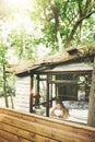 I cant think of a better view to wake up to. a young woman looking out the window while lying on a bed in a cabin.