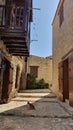 A cat in the stone streets of Lofou village in Cyprus Island