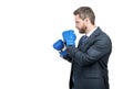 I fight because I can. Businessman ready to fight. Professional man in boxing position Royalty Free Stock Photo