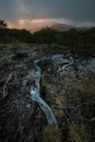 Old root stretching in ground Royalty Free Stock Photo